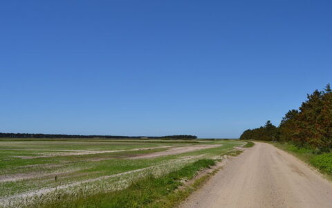 Almina - 1Km from the Sea: Weg, Natuurlijk Landschap, Horizon, Plain, Grasland, Ecoregio, Veld, Land Lot, Steppe