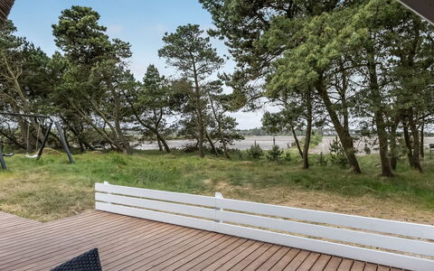 Almina - 1Km from the Sea: Plantengemeenschap, Zonlicht, Kruidachtige Plant, Tuin, Plantage, Landbouw, Boerderij