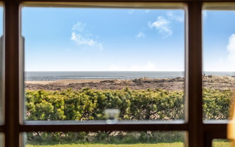 Amundi - 3.8Km from the Sea: Gras, Grasland, Landschap, Ecoregio, Plain, Plantengemeenschap, Land Lot, Buitenmeubels, Prairie, Shrubland