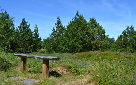 Redward - 1Km from the Sea: Gras, Groen, Blad, Natuurlijke Omgeving, Natuur, Vegetation, Grasland, Struik, Plantengemeenschap, Ecoregio