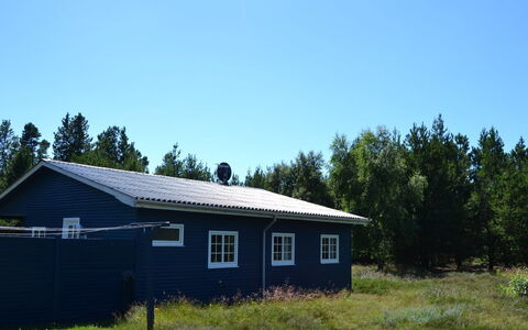 Redward - 1Km from the Sea: Gras, Dak, Huis, Huis, Verblijf, Land Lot, Siding, Landelijk Gebied, Deur, Garden Gebouwen