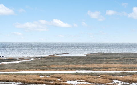Langsom - 100M from the Sea: Blauw, Water, Watervoorraden, Horizon, Ecoregio, Zee, Kust En Oceanic Landvormen, Moeras