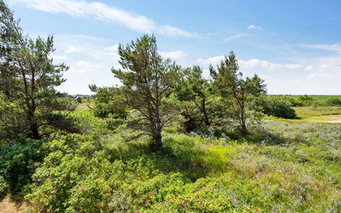 Athalia - 2.4Km from the Sea: Gebouw, Huis, Venster, Huis, Dak, Woongebied, Struik, Verblijf, Land Lot
