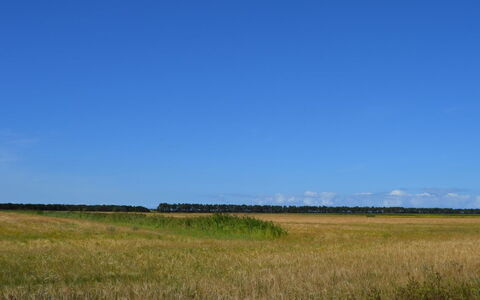 Anna - 1Km from the Sea: Gras, Huis, Dak, Huis, Verblijf, Struik, Land Lot, Landelijk Gebied, Boerderij, Groundcover