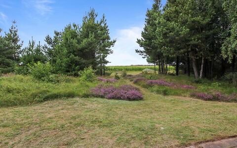 Anna - 1Km from the Sea: Gras, Huis, Dak, Huis, Verblijf, Struik, Land Lot, Landelijk Gebied, Boerderij, Groundcover