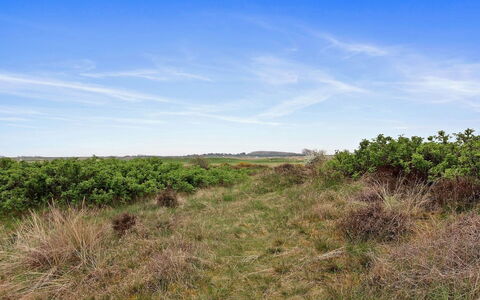Reija - 2.3Km from the Sea: Lucht, Blauw, Gras, Groen, Natuurlijke Omgeving, Grasland, Vegetation, Ecoregio, Natuurlijk Landschap, Plantengemeenschap