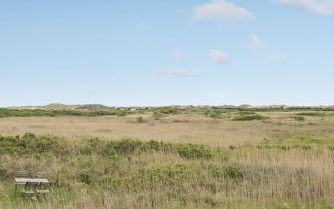 Sybilla - 700M from the Sea: Lucht, Gras, Grasland, Natuurlijke Omgeving, Ecoregio, Vegetation, Plain, Pasture, Prairie, Steppe