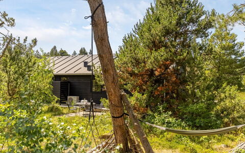 Turkka - 3.8Km from the Sea: Boom, Blad, Afdeling, Natuurlijke Omgeving, Gras, Hout, Vegetation, Land Lot, Plantengemeenschap, Trunk