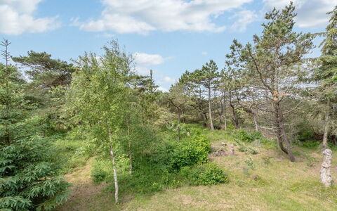 Ilsebeth - 1Km from the Sea: Struik, Stedelijk Ontwerp, Groundcover, Steen, Appartement, Landgoed, Metselwerk, Balkon, Landscaping