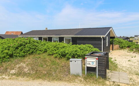 Kris - 200M from the Sea: Plantengemeenschap, Zonlicht, Kruidachtige Plant, Tuin, Plantage, Landbouw, Boerderij