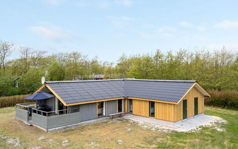 Arona - 1.5Km from the Sea: Plantengemeenschap, Zonlicht, Kruidachtige Plant, Tuin, Plantage, Landbouw, Boerderij