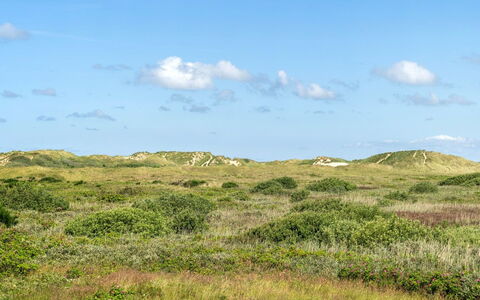 Ortwin - 300M from the Sea: Gras, Huis, Dak, Huis, Verblijf, Struik, Land Lot, Landelijk Gebied, Boerderij, Groundcover