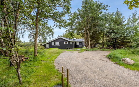 Waldemar - 3.4Km from the Sea: Gras, Grasland, Landschap, Ecoregio, Plain, Plantengemeenschap, Land Lot, Buitenmeubels, Prairie, Shrubland