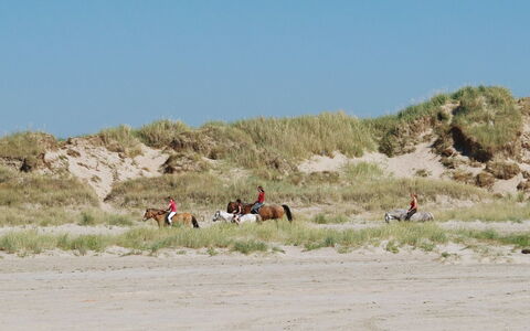 Aslef - 2.3Km from the Sea: Verblijf, Schuur, Hut, Boerderij, Prairie, Keet, Schuur, Blokhut, Garden Gebouwen