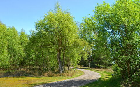 Gwen - 2.7Km from the Sea: Blad, Boom, Groen, Gras, Natuur, Afdeling, Natuurlijke Omgeving, Vegetation, Natuurlijk Landschap