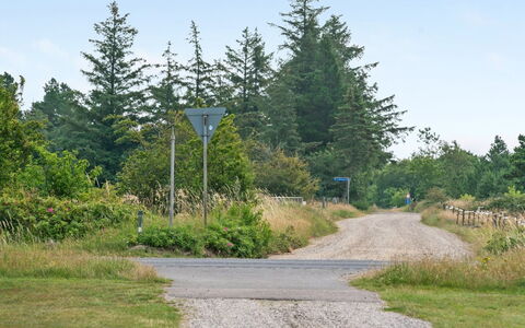 Gwen - 2.7Km from the Sea: Lucht, Boom, Gras, Blad, Weg, Weg Oppervlak, Vegetation, Natuurlijk Landschap, Struik