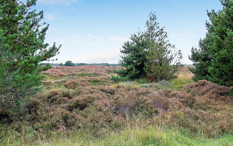 Dorti - 3Km from the Sea: Struik, Stedelijk Ontwerp, Groundcover, Steen, Appartement, Landgoed, Metselwerk, Balkon, Landscaping