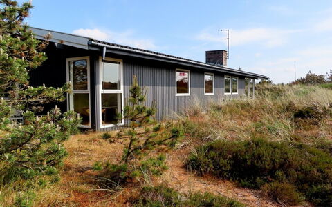 Elsa - 700M from the Sea: Plantengemeenschap, Zonlicht, Kruidachtige Plant, Tuin, Plantage, Landbouw, Boerderij