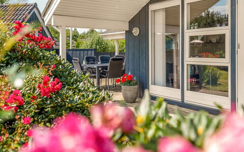 Maureen - 10.5Km from the Sea: Huis, Huis, Struik, Dak, Siding, Verblijf, Deur, Tuin, Landgoed, Werf