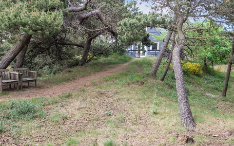 Kanutte - 400M from the Sea: Afdeling, Vegetation, Plantengemeenschap, Land Lot, Trunk, Woody Plant, Bodem, Trail, Shrubland