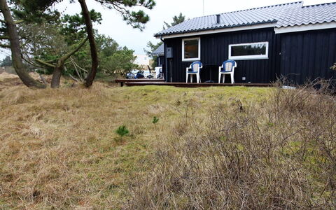 Glady - 500M from the Sea: Gras, Huis, Land Lot, Verblijf, Huis, Dak, Landelijk Gebied, Weide, Garden Gebouwen, Landgoed
