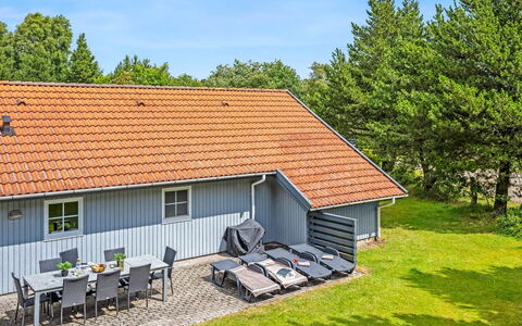 Gunvald - 2Km to the Fjord: Plantengemeenschap, Zonlicht, Kruidachtige Plant, Tuin, Plantage, Landbouw, Boerderij