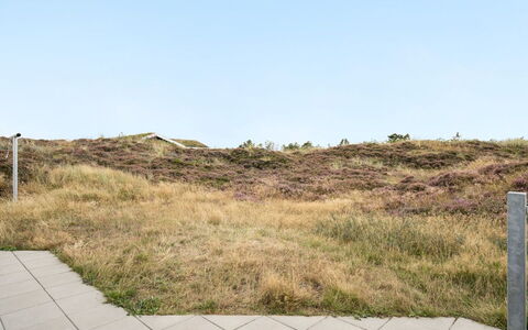 Tennie - 300M from the Sea: Gras, Ecoregio, Grasland, Plantengemeenschap, Bruin, Land Lot, Shrubland, Steppe, Prairie, Dicht Struikgewas