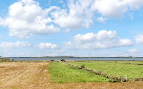 Aswaldi - 3.5Km from the Sea: Gras, Hout, Landelijk Gebied, Struik, Verblijf, Dak, Plain, Land Lot, Huis, Groundcover