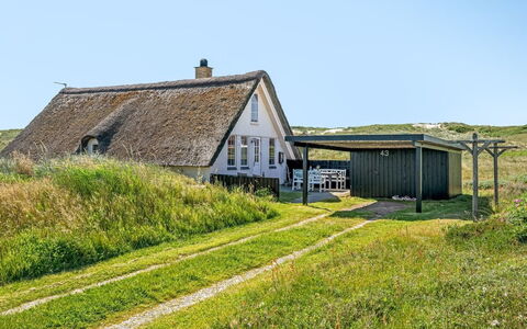 Klimentina - 150M from the Sea: Plantengemeenschap, Zonlicht, Kruidachtige Plant, Tuin, Plantage, Landbouw, Boerderij