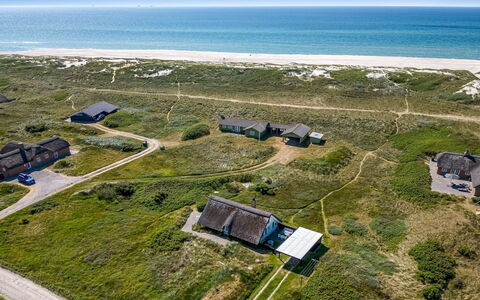 Klimentina - 150M from the Sea: Plantengemeenschap, Zonlicht, Kruidachtige Plant, Tuin, Plantage, Landbouw, Boerderij