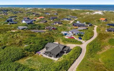 Talia - from the Sea: Plantengemeenschap, Zonlicht, Kruidachtige Plant, Tuin, Plantage, Landbouw, Boerderij