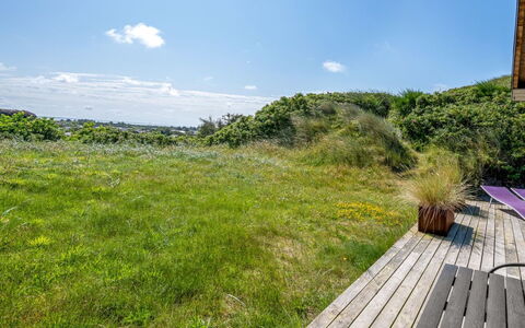 Talia - from the Sea: Plantengemeenschap, Zonlicht, Kruidachtige Plant, Tuin, Plantage, Landbouw, Boerderij