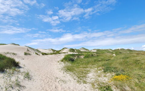 Herfrith - from the Sea: Struik, Stedelijk Ontwerp, Groundcover, Steen, Appartement, Landgoed, Metselwerk, Balkon, Landscaping