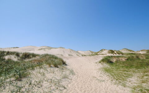 Gundine - from the Sea: Struik, Stedelijk Ontwerp, Groundcover, Steen, Appartement, Landgoed, Metselwerk, Balkon, Landscaping