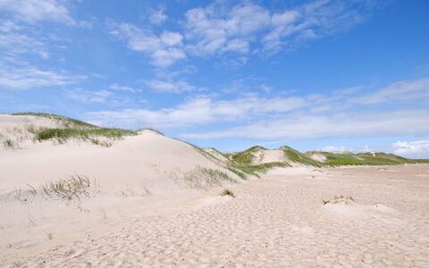 Gundine - from the Sea: Struik, Stedelijk Ontwerp, Groundcover, Steen, Appartement, Landgoed, Metselwerk, Balkon, Landscaping