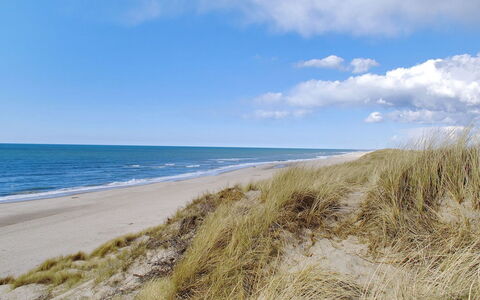 Jannike - 100M from the Sea: Blauw, Water, Zwemwater, Natuurlijke Omgeving, Strand, Kust, Horizon, Zee, Kust En Oceanic Landvormen