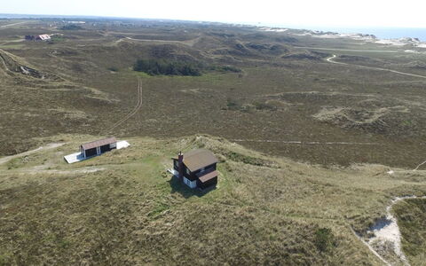 Swanja - from the Sea: Gras, Grasland, Ecoregio, Plain, Landschap, Land Lot, Landelijk Gebied, Terrein, Steppe, Prairie