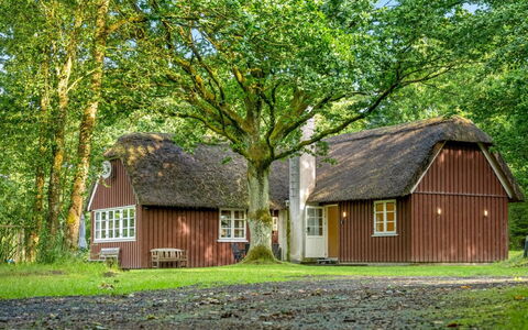 Fina - 15Km from the Sea: Verblijf, Huis, Huis, Dak, Veranda, Landgoed, Siding, Garden Gebouwen, Boerderij, Werf