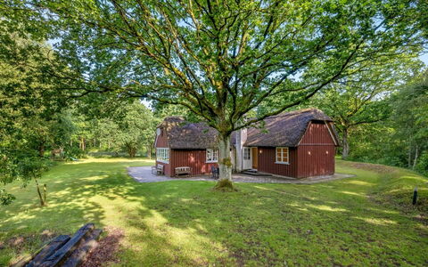 Fina - 15Km from the Sea: Verblijf, Huis, Huis, Dak, Veranda, Landgoed, Siding, Garden Gebouwen, Boerderij, Werf