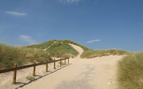 Agga - 200M from the Sea: Ecoregio, Landschap, Trail, Zand, Helling, Gang, Bodem