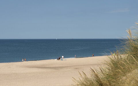 Cristine - 400M from the Sea: Dak, Huis, Huis, Verblijf, Siding, Landgoed, Oprit, Garden Gebouwen, Werf, Schuur