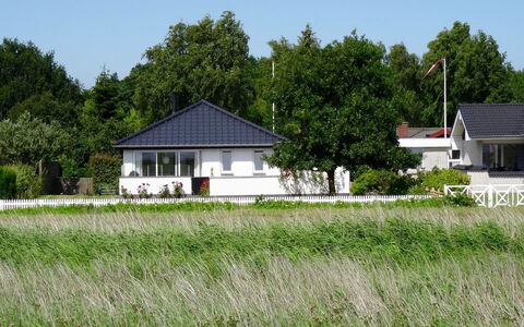 Mayla - 50M from the Sea: Plantengemeenschap, Zonlicht, Kruidachtige Plant, Tuin, Plantage, Landbouw, Boerderij