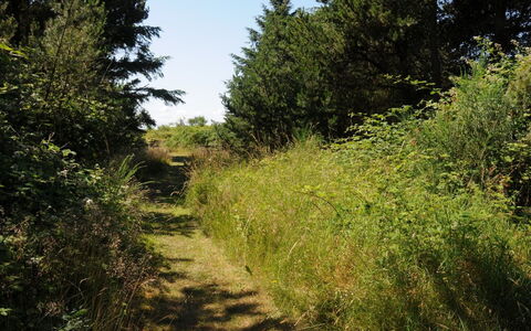 Kalv - 75M from the Sea: Woongebied, Dak, Voorstad, Oprit, Landgoed, Schoorsteen
