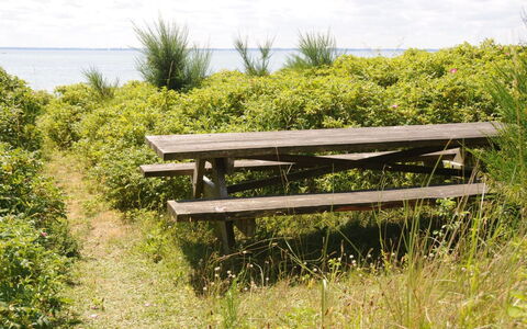 Kalv - 75M from the Sea: Woongebied, Dak, Voorstad, Oprit, Landgoed, Schoorsteen