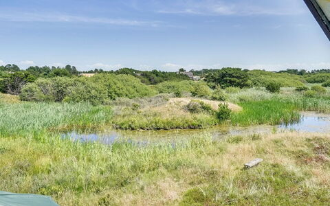 Inra - 400M from the Sea: Plantengemeenschap, Zonlicht, Kruidachtige Plant, Tuin, Plantage, Landbouw, Boerderij