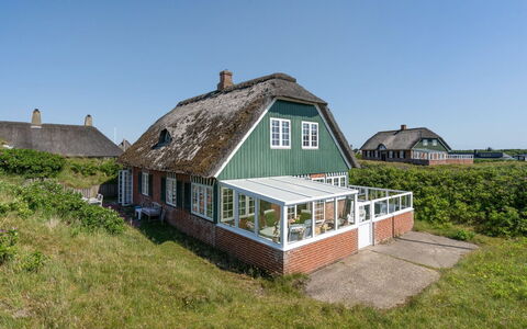Mattias - 100M from the Sea: Gras, Grasland, Landschap, Ecoregio, Plain, Plantengemeenschap, Land Lot, Buitenmeubels, Prairie, Shrubland