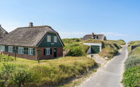 Mattias - 100M from the Sea: Gras, Grasland, Landschap, Ecoregio, Plain, Plantengemeenschap, Land Lot, Buitenmeubels, Prairie, Shrubland