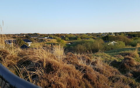 Gudrid - 500M from the Sea: Lucht, Blauw, Vegetation, Ecoregio, Plantengemeenschap, Grasland, Shrubland, Zonlicht, Prairie