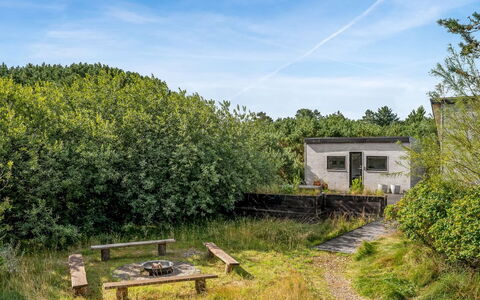 Julie - 1.5Km from the Sea: Vegetation, Struik, Plantengemeenschap, Land Lot, Landelijk Gebied, Groundcover, Tuin, Weide, Shrubland