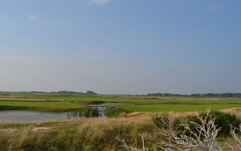 Akim - 2Km from the Sea: Lucht, Groen, Natuurlijke Omgeving, Natuurlijk Landschap, Grasland, Moeras, Plain, Ecoregio, Horizon